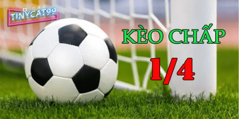 Chấp ¼ Trái là sao? Chơi kèo chấp ¼ trái như cao thủ 4 Cá cược kèo châu Á ¼ tại nhà cái uy tín tinycat99