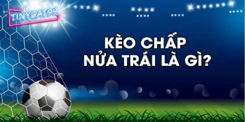 Kèo chấp 0.5 là gì? Bí quyết chơi kèo chấp 0.5 luôn thắng 2 Những thông tin về kèo chấp 0.5 là gì?