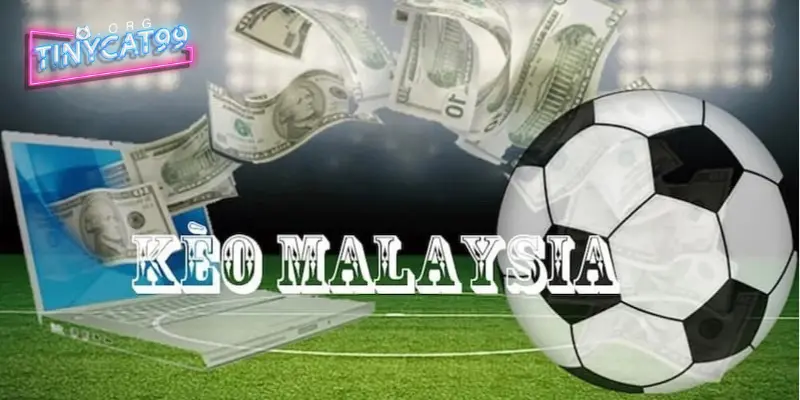 Bí kíp soi kèo Malaysia dành cho người mới cực kỳ chuẩn xác 4 Chọn cho mình một nhà cái trước khi chơi