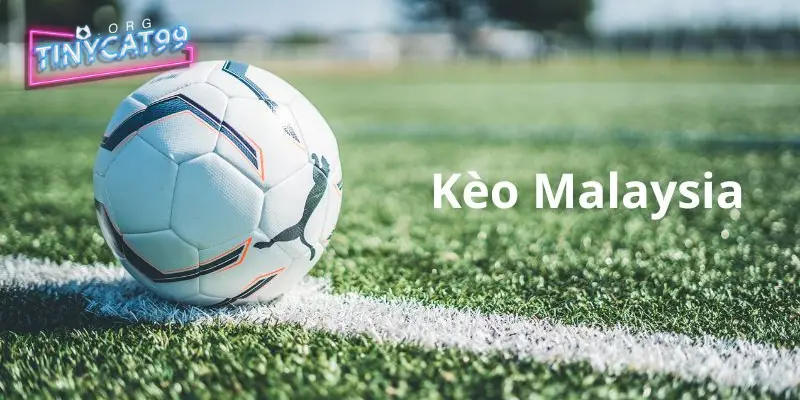 Bí kíp soi kèo Malaysia dành cho người mới cực kỳ chuẩn xác 2 Kèo bóng đá Malaysia