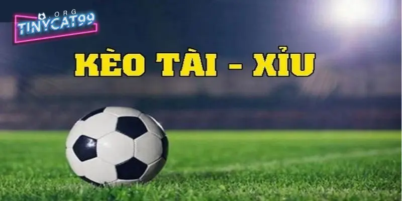 Kèo tài xỉu là gì? Bí quyết cá cược tài xỉu bóng đá 2 Kèo tài xỉu là gì?