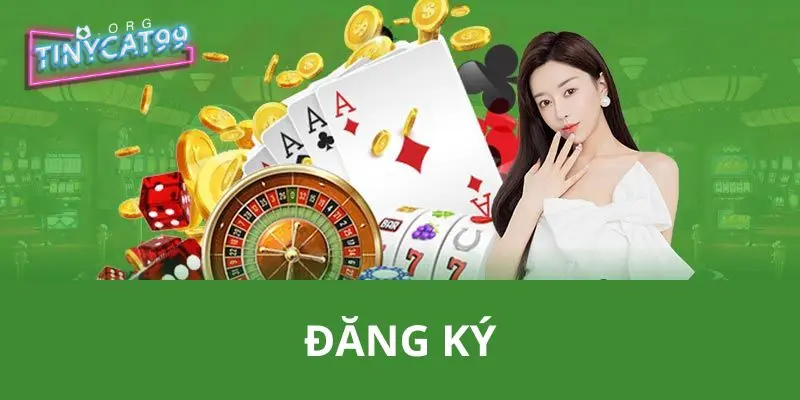 Hướng dẫn đăng ký tài khoản tinycat99 chỉ với vài bước cơ bản?